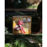 Новогодний курс (Юлия Припутнева)