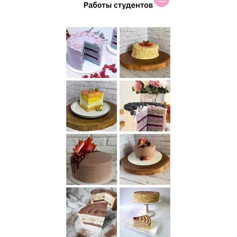 Кондитерский курс 10 пп тортов. Тариф Лайт (Светлана Шубина, Zero Cake school)