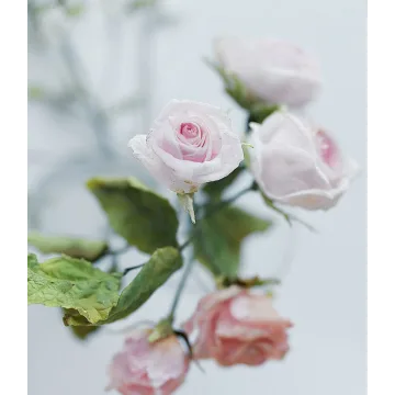 [cakeit_nsk] Курс Вафельные цветы «Лето» (Любовь Ки)