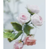 [cakeit_nsk] Курс Вафельные цветы «Лето» (Любовь Ки)