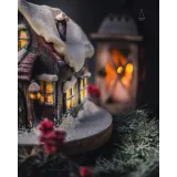 3D-торт «Сказочный дом» (Elena Elkina-Kovaleva, Glavgnom)