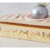 Сборник технологических карт муссовых тортов №2 (Елена Богомолова, zimnyaya_dolci)