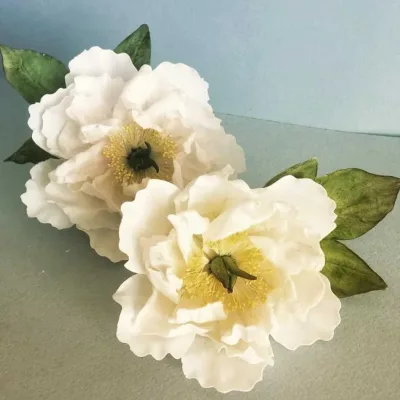 [Где торт?] Сахарный Белый Пион (Евгения Бочарова)