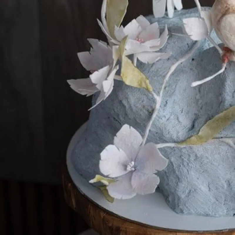 Торт "Птички" (Анна Сухова, anechkacake)