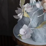 Торт "Птички" (Анна Сухова, anechkacake)