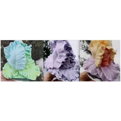 Ирис (Татьяна Забалуева)