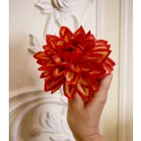 Шоколадная флористика. Осенняя программа (Ирина Мошкина)