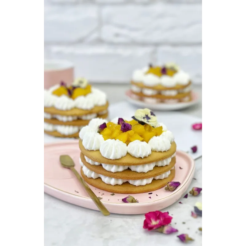 Сборник видеоуроков "Зимние торты и десерты" (Наринэ Шахраманян)