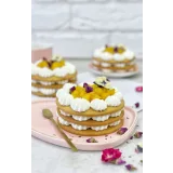 Сборник видеоуроков "Зимние торты и десерты" (Наринэ Шахраманян)