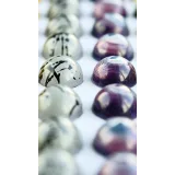 Корпусные конфеты - 10 рецептов (Андрей Канакин, Владислав Панченко)