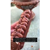 Теоретический курс "Создание ганаша с нуля" (Саба Джанджгава)