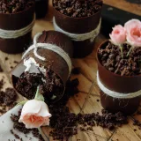 Мамин цветок (Ксения Нохрина)