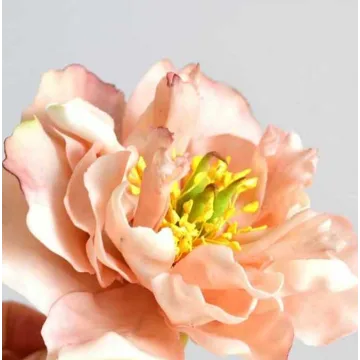 [Где торт?] Пион целый из сахарной мастики (Евгения Бочарова)