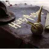 Торт "книга Гарри Поттера" (Ксения ПаниМарципани)