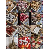 Уроки Gift Cookies с 1 по 499 (gift_cookies)