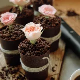 Мамин цветок (Ксения Нохрина)