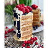 Сборник видеоуроков "30 медовиков" (gift_cookies)