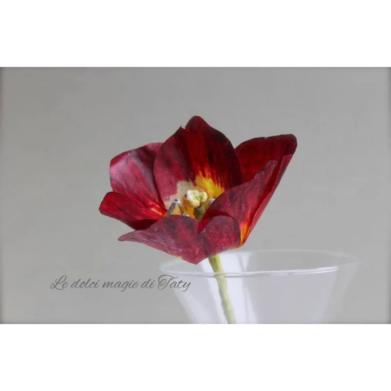 Курс весенний (Татьяна Ефремова)