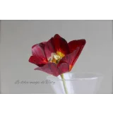 Курс весенний (Татьяна Ефремова)