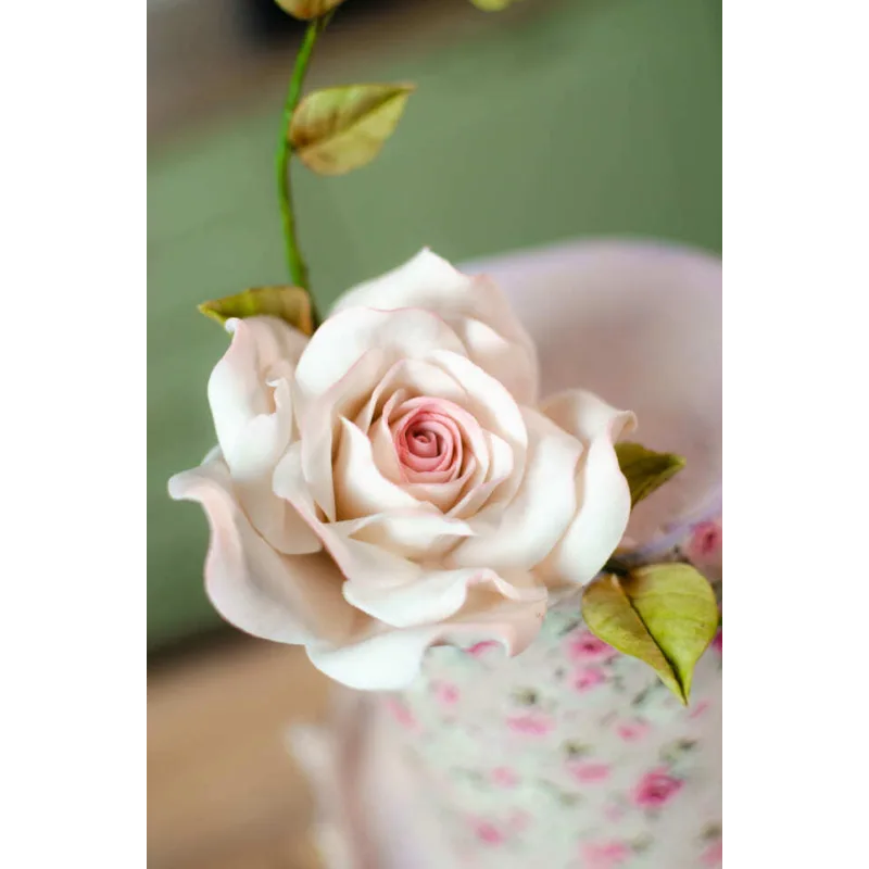 Ура - Я модный кондитер! Тариф Трендовый кондитер без обратной связи (Евгения Волошина)