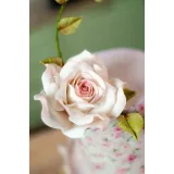 Ура - Я модный кондитер! Тариф Трендовый кондитер без обратной связи (Евгения Волошина)